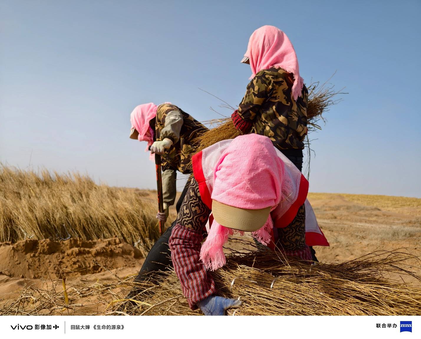 三十载热爱同行, vivo Vision发布会暨影像盛典盛大举办