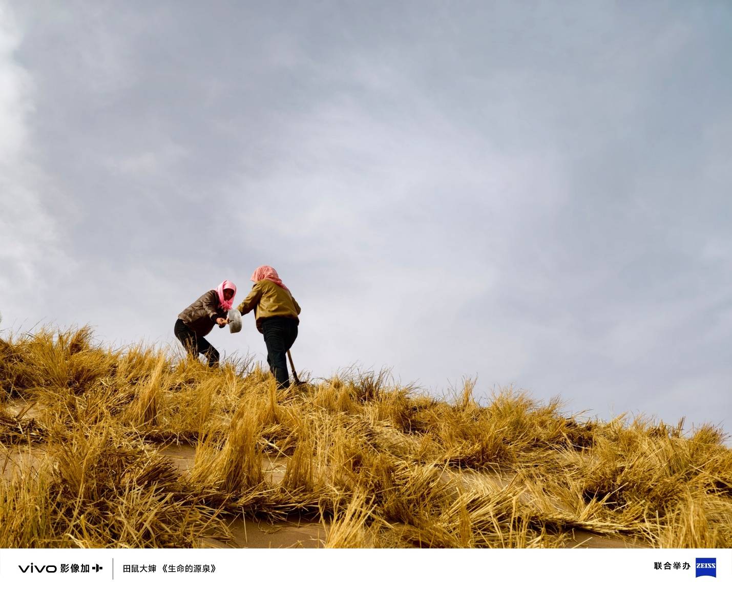 三十载热爱同行, vivo Vision发布会暨影像盛典盛大举办