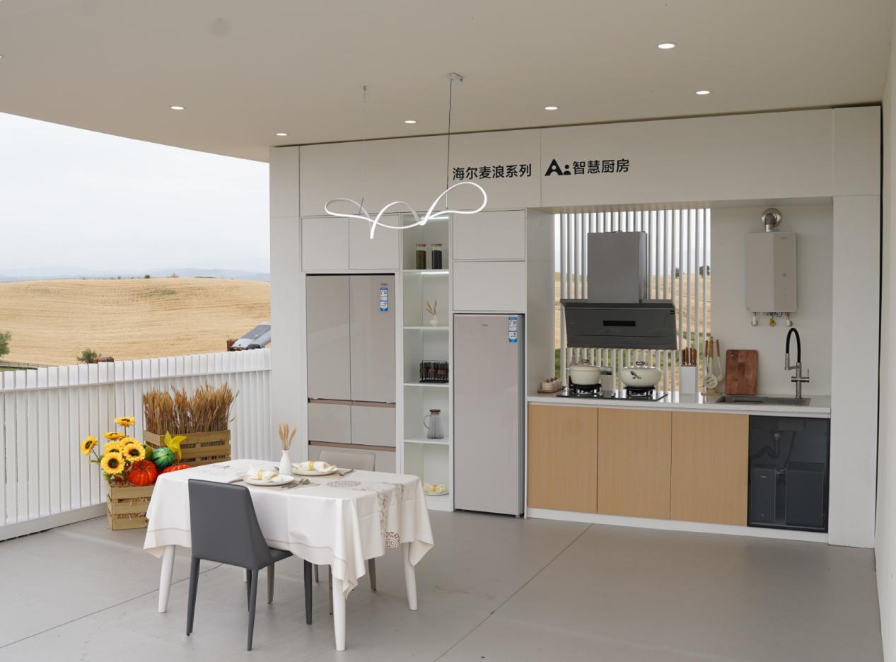 三个季度破70万台，海尔“麦浪风”会被跟风？