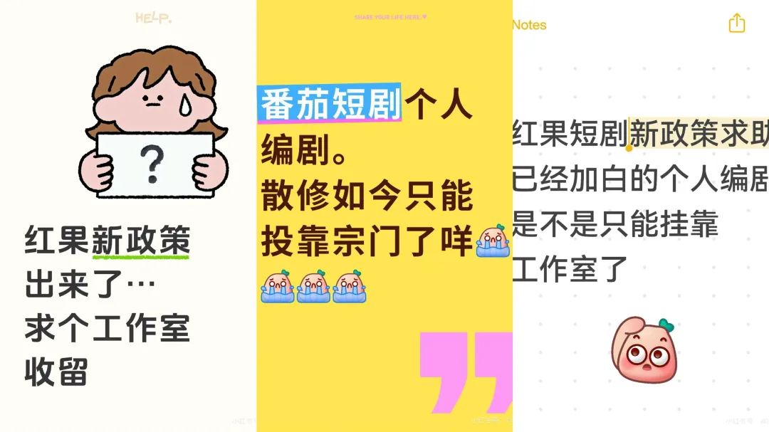 红果“剧本新政”下的编剧生态：头部狂欢，底层哀嚎？