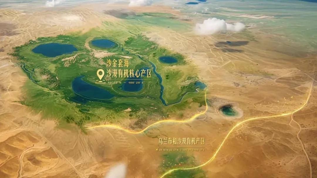 逆势增长的蒙牛做对了哪些事