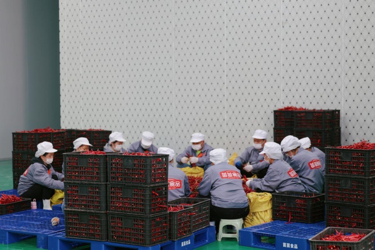 锅圈贵州酸汤项目，新时代政企研合作助力乡村振兴的生动案例