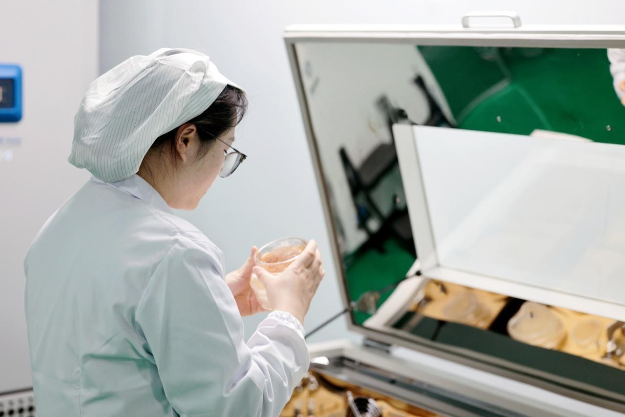 锅圈贵州酸汤项目，新时代政企研合作助力乡村振兴的生动案例