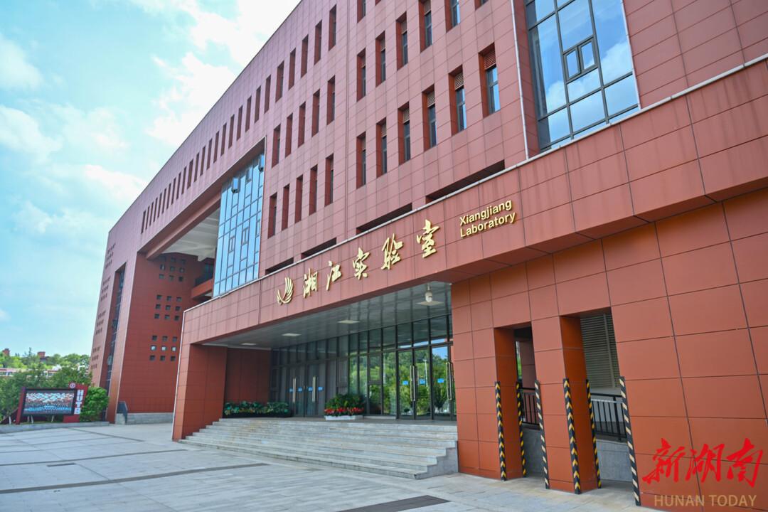 长沙“造梯”，AI登高