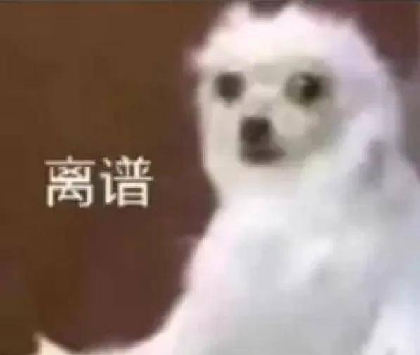 几千块产品租满要花1万3！租机生意疯狂抢劫大学生……