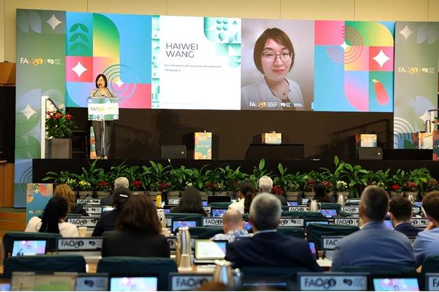 当拼多多把“中国模式”带上联合国讲台