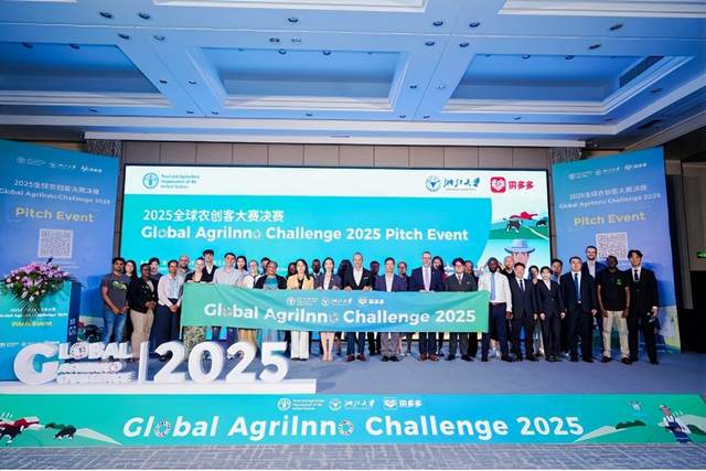 当拼多多把“中国模式”带上联合国讲台