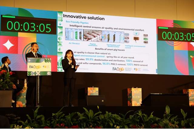 当拼多多把“中国模式”带上联合国讲台