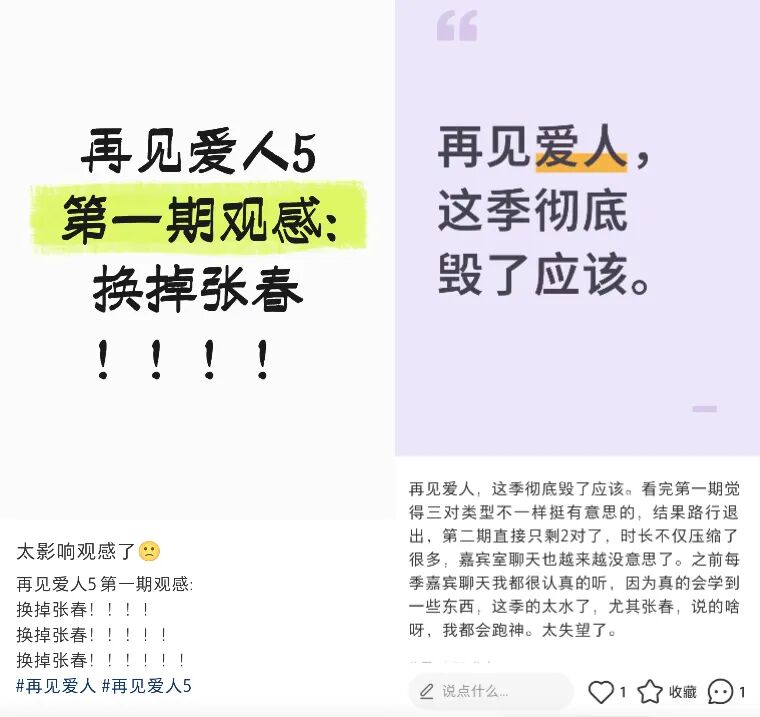 剩两对半夫妻的《再见爱人5》，困境不止于综N代的瓶颈期