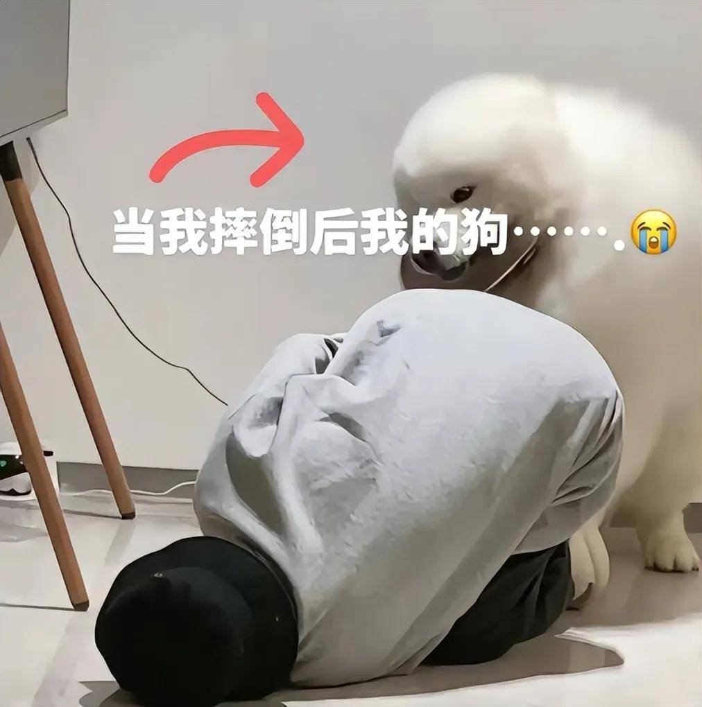 新机刚发OPPO老款绿线被热炒！下狠手的友商不怕回旋镖？