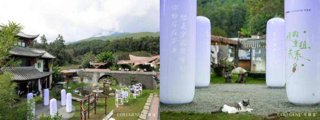 可丽⾦以「重组」贯穿全年，层层递进实现真正悦己