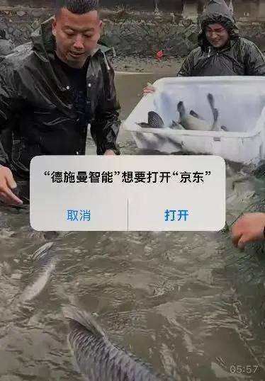 双11未至摇一摇广告先杀疯！Tim：张衡早知道都不用发明地动仪了