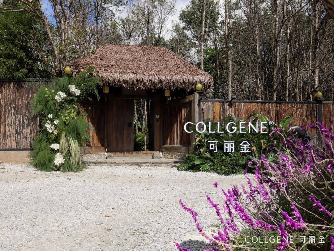 可丽⾦以「重组」贯穿全年，层层递进实现真正悦己