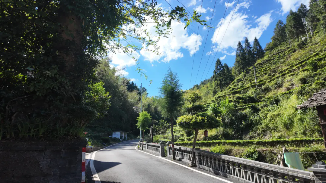 村口的土菜馆上了高德扫街榜