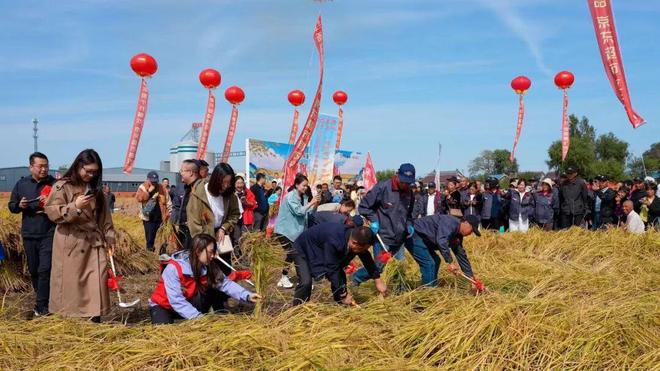 深、快、新：解构京东供应链“三板斧”