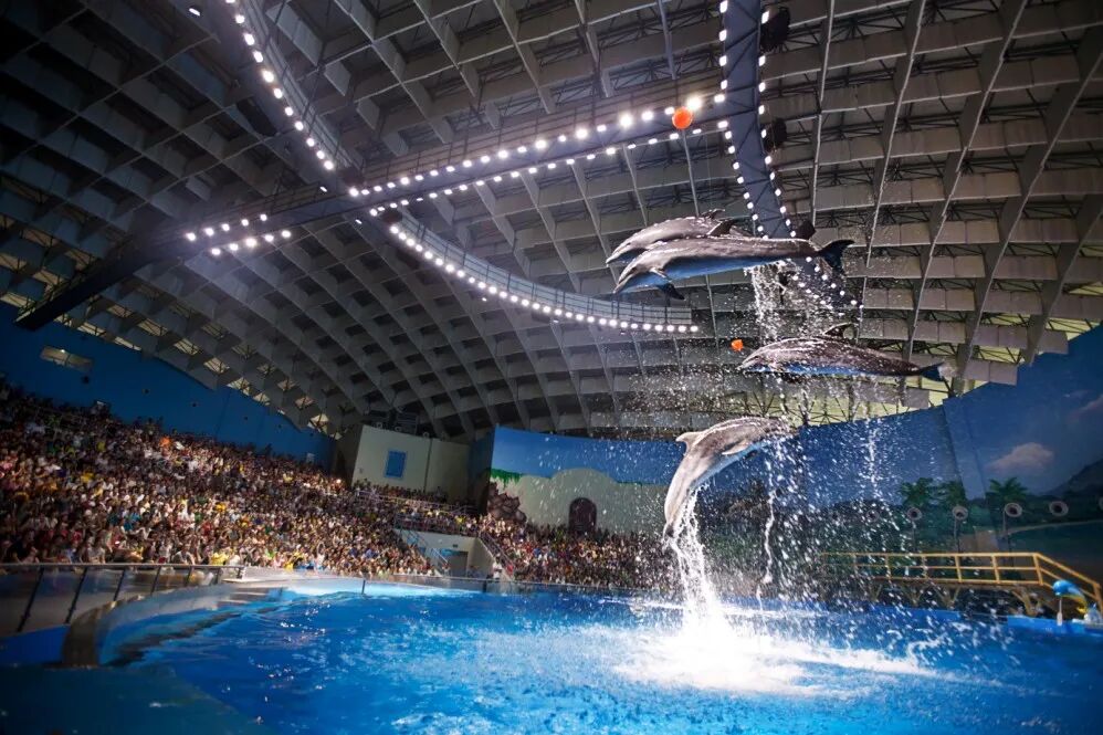 警惕韩国资本“抄底”中国文旅，是过度阴谋论吗？