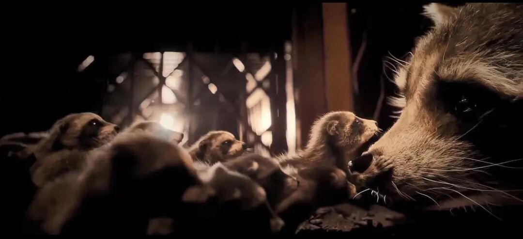 中式奇幻，请停止“为醋包饺子”