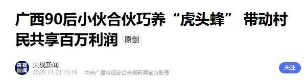 上游6666元教养殖，下游变神药治百病！杀人蜂骗局两头割……
