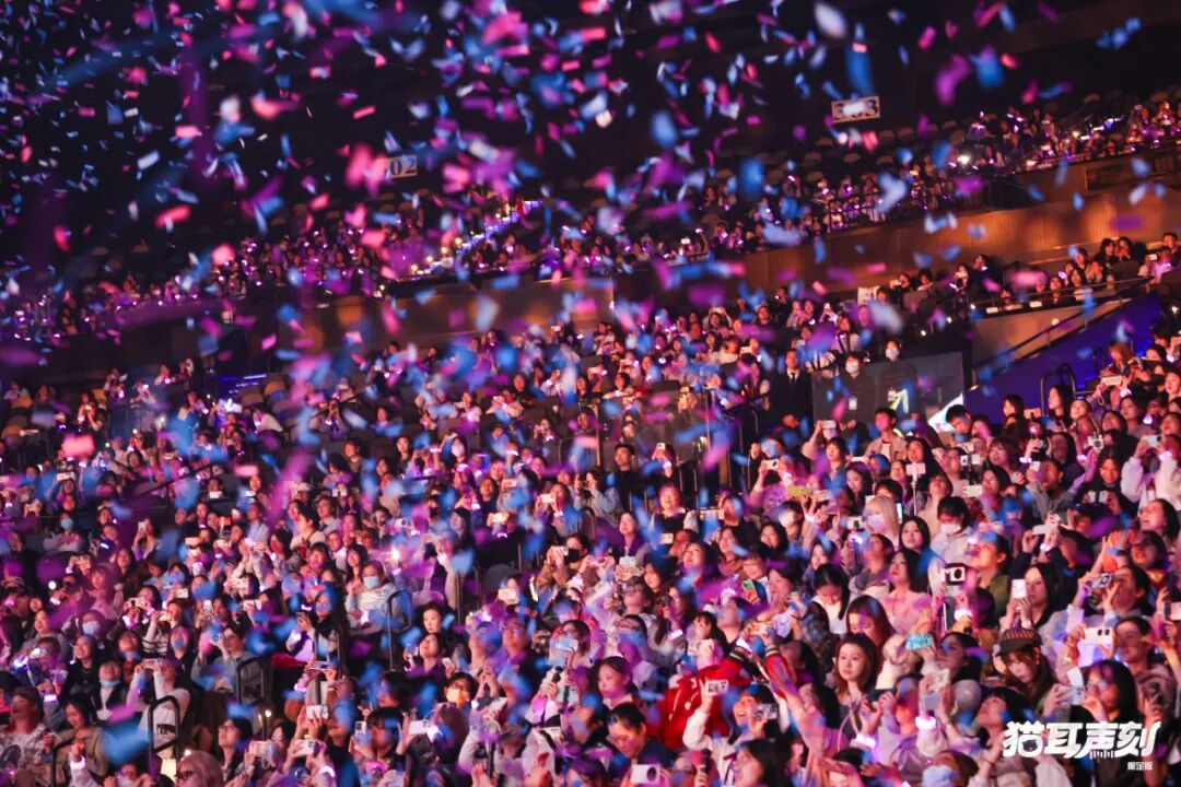 「猫耳声刻」，一场声音文化的“变与不变”