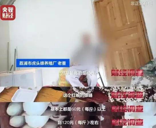 上游6666元教养殖，下游变神药治百病！杀人蜂骗局两头割……