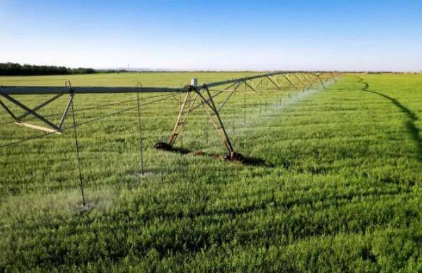 国际奥委会主席为什么点赞中国蒙牛