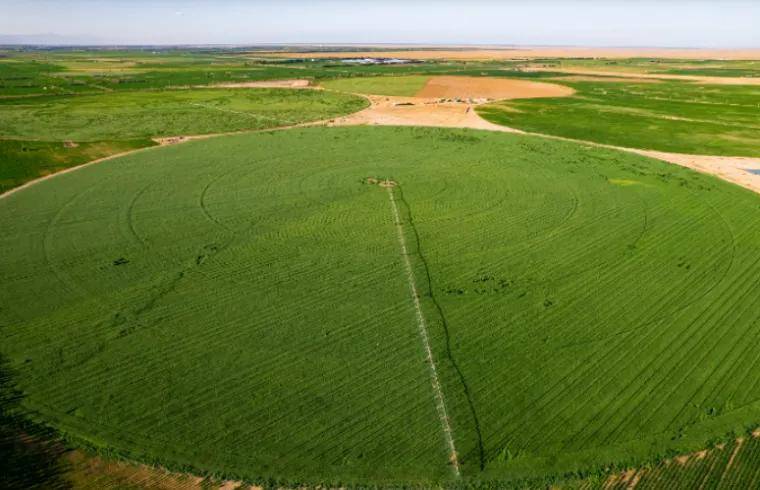 国际奥委会主席为什么点赞中国蒙牛