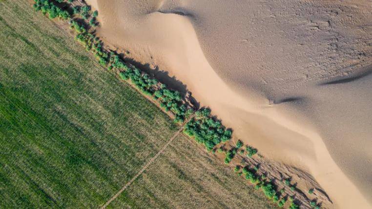 国际奥委会主席为什么点赞中国蒙牛