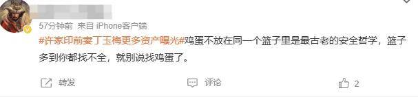 四地藏匿15.58亿！许家印前妻丁玉梅更多资产曝光……