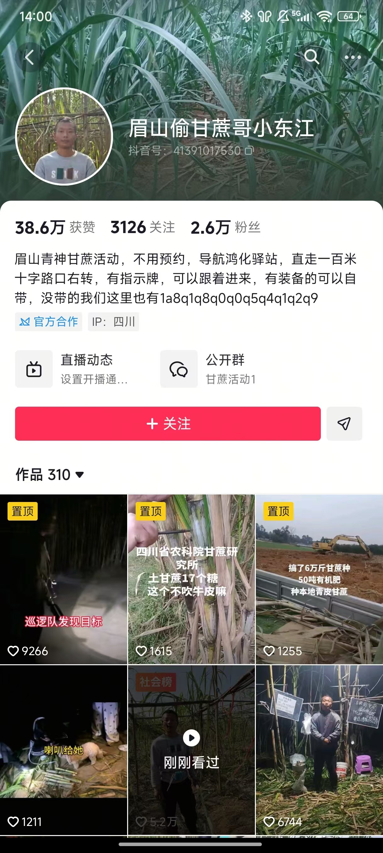 甘蔗哥近10日涨粉2.5万