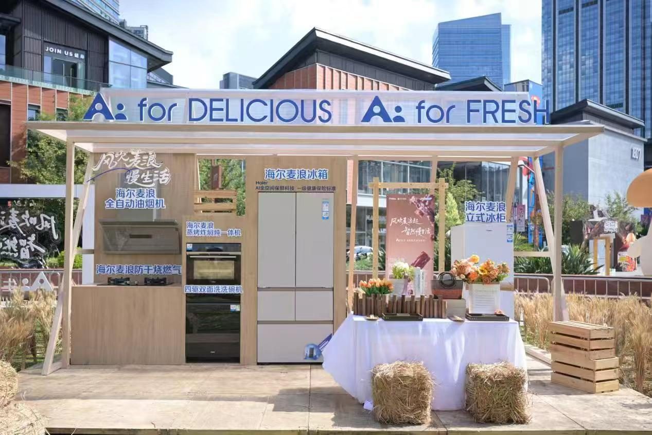 这个双11，和超6成中国家庭一起选海尔