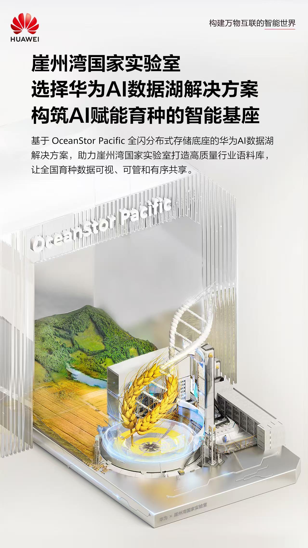 中国种业的破局之路：数据筑种基，智枢护民生