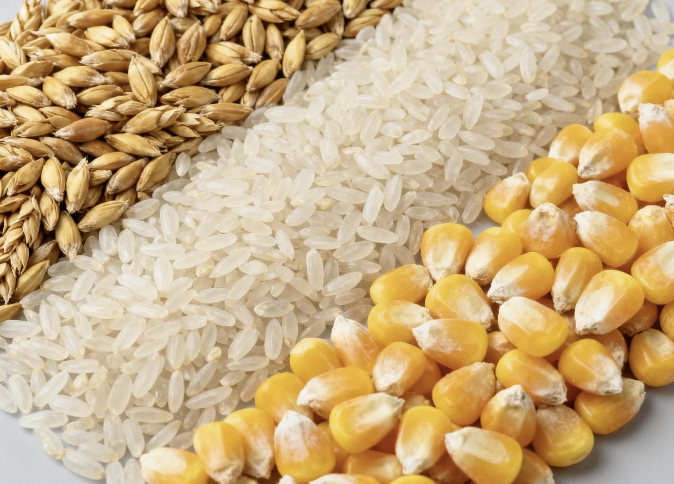 田埂下的 “数据基座”：育中国好种，端中国饭碗