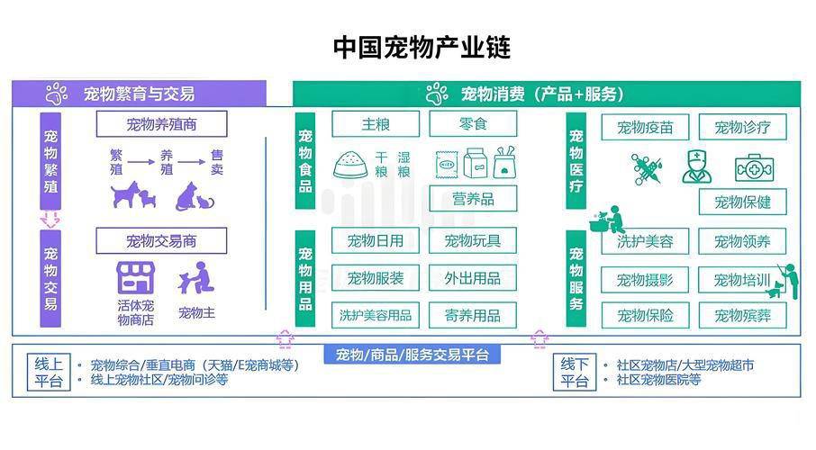 押宝宠物经济，光明现在下场还来得及吗？