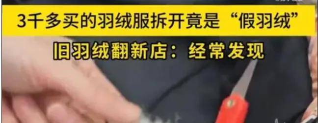 含1%羊毛号称纯羊毛！这届年轻人快被羊毛陷阱薅秃了……