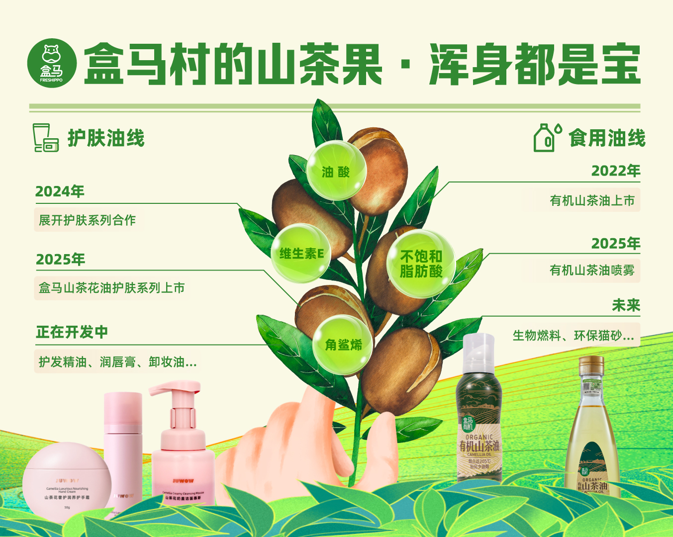 从荒山变茶油产业园 乳源盒马村把山茶花“玩出花”