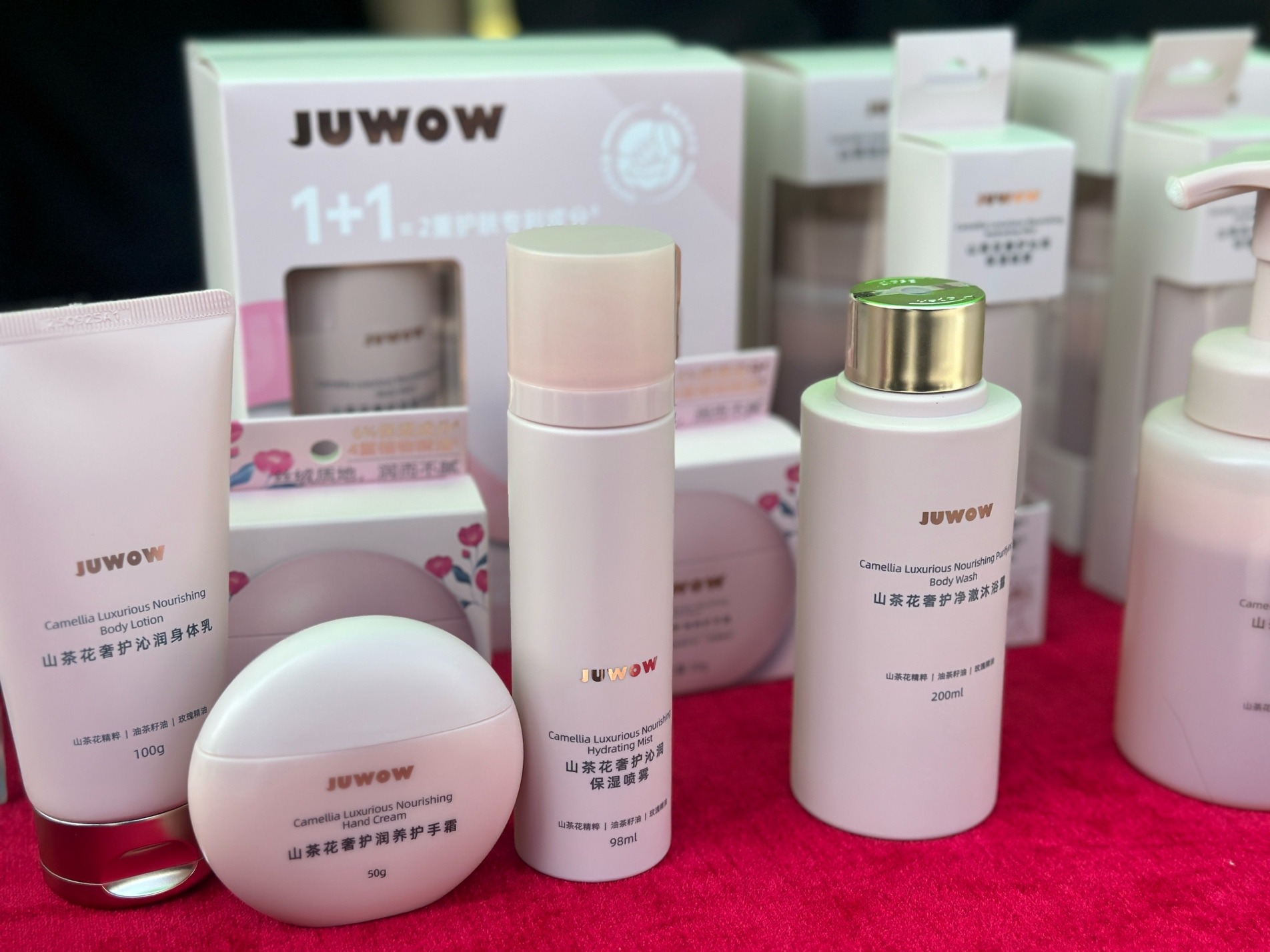 从荒山变茶油产业园 乳源盒马村把山茶花“玩出花”