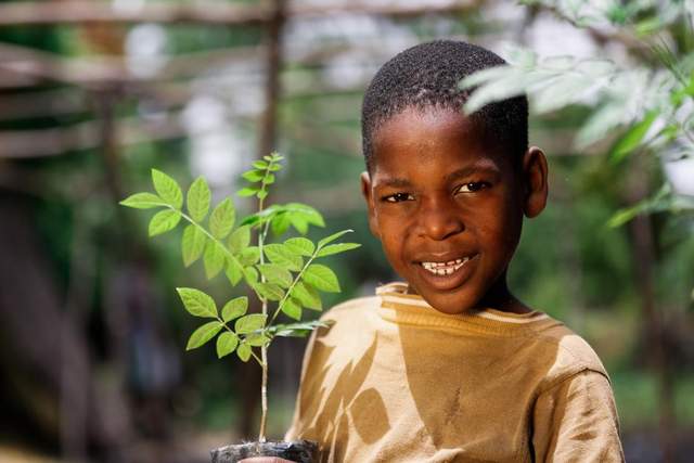 WATERFLY：锚定联合国ESG原则，让责任成为品牌与用户的共同纽带