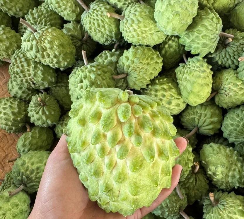 “2026多多好特产”全面升级，拼多多落地多举措赋能农业全产业链