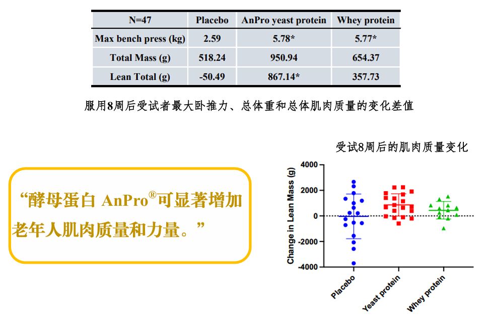 蛋白供给的新质方案:一场从发酵罐里开始的产业革命 蛋白供给的新质方案:一场从发酵罐里开始的产业革命