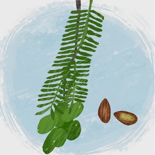 刘斌洋北京鼎翰投资投资经理