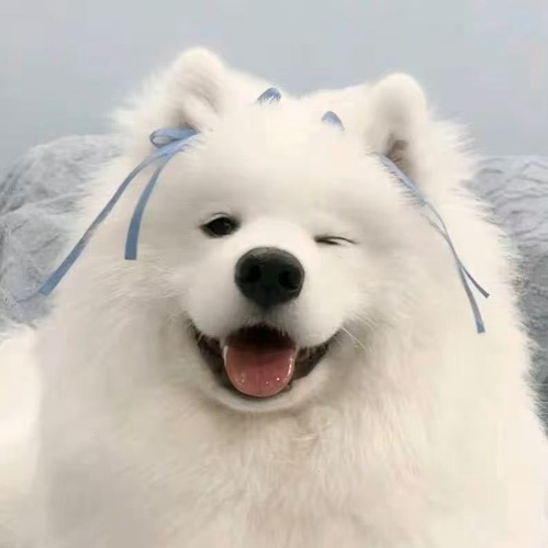 祁航 时代伯乐 投资经理